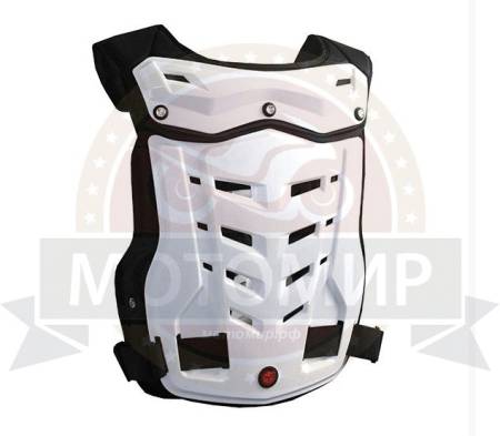 Большая Картинка Большая Картинка