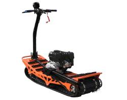 Большая Картинка