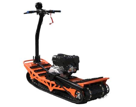 Большая Картинка