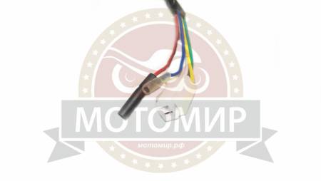 Большая Картинка