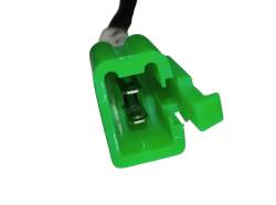 Большая Картинка