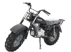 Большая Картинка