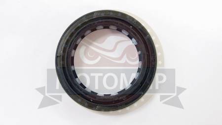 Большая Картинка