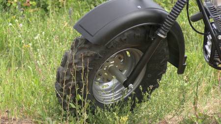 Большая Картинка