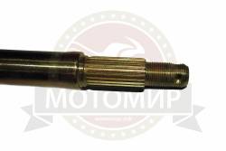 Большая Картинка