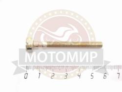 Большая Картинка