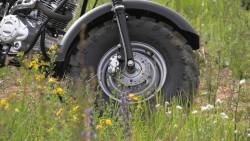 Большая Картинка