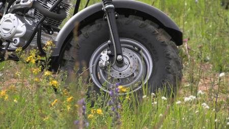 Большая Картинка