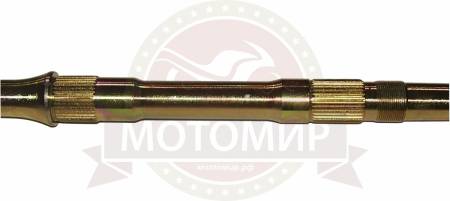 Большая Картинка