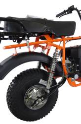 Большая Картинка