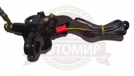 Большая Картинка