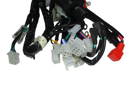 Большая Картинка