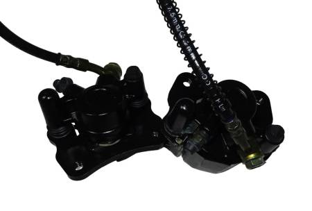 Большая Картинка