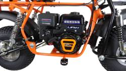 Большая Картинка