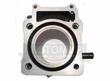 Большая Картинка