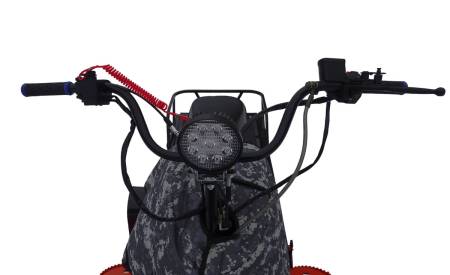 Большая Картинка