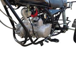 Большая Картинка