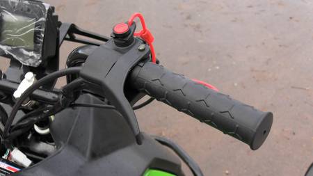 Большая Картинка