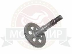 Большая Картинка