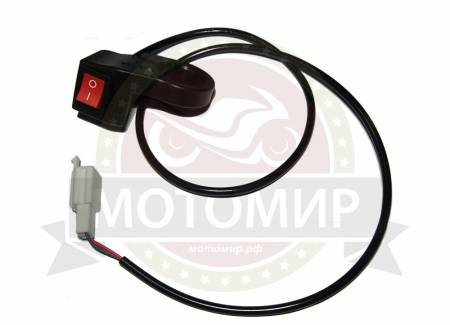 Большая Картинка