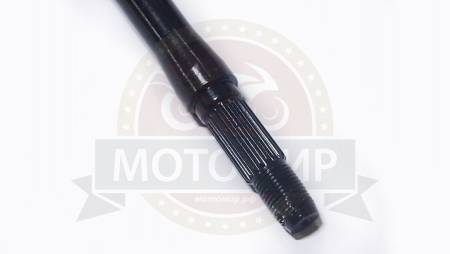 Большая Картинка