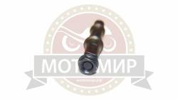 Большая Картинка