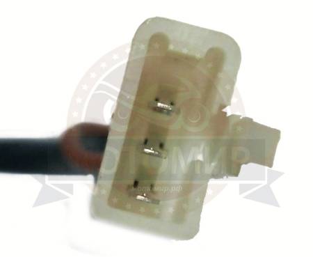 Большая Картинка