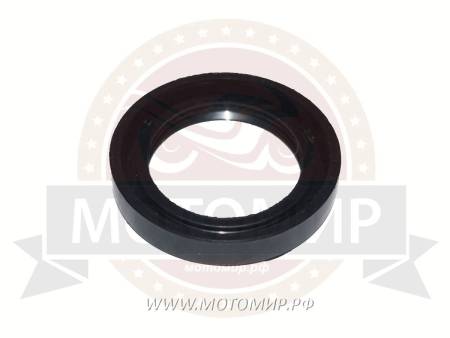 Большая Картинка