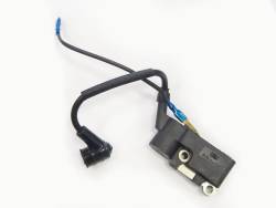 Большая Картинка