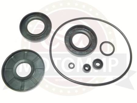 Большая Картинка