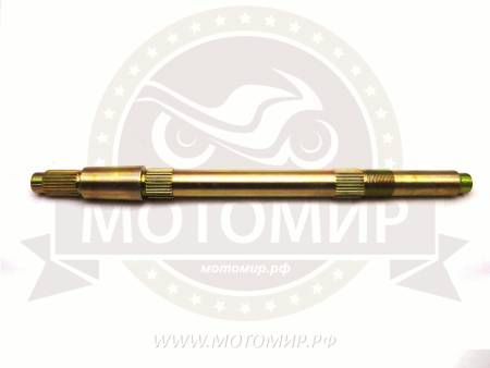 Большая Картинка