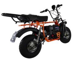 Большая Картинка