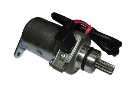 Большая Картинка