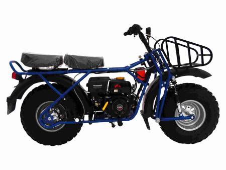 Большая Картинка