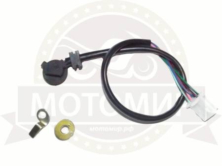 Большая Картинка