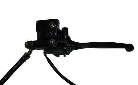 Большая Картинка