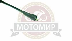 Большая Картинка