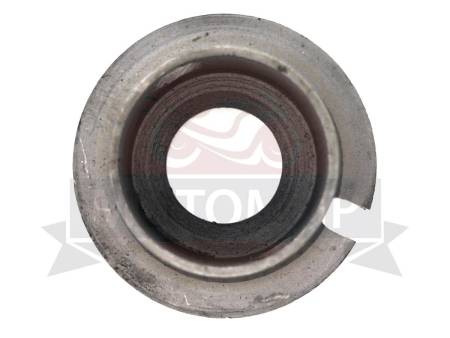 Большая Картинка