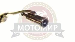 Большая Картинка