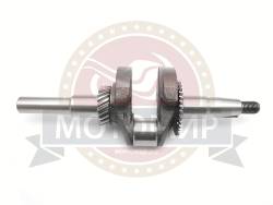 Большая Картинка