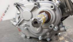 Большая Картинка