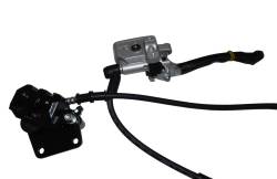 Большая Картинка