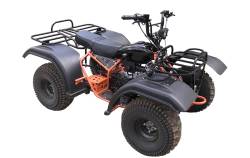 Большая Картинка