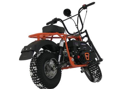 Большая Картинка