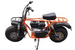 Большая Картинка