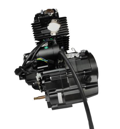 Большая Картинка