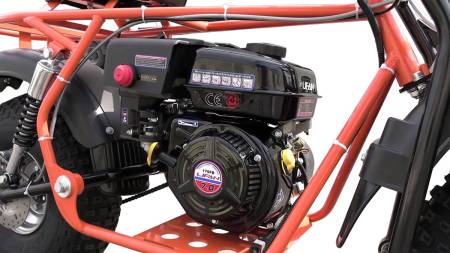 Большая Картинка