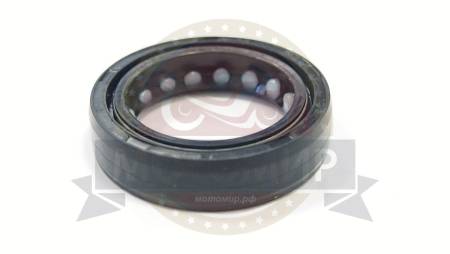 Большая Картинка