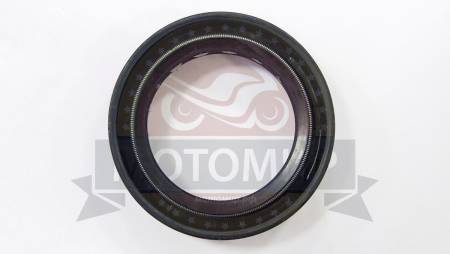 Большая Картинка