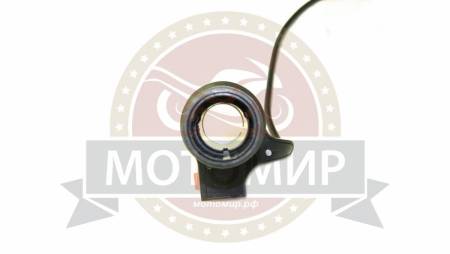 Большая Картинка